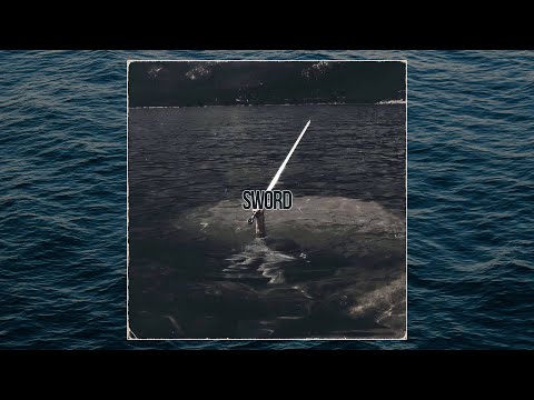 [FREE] Miyagi x Mr Lambo x Ramil' x MACAN Type Beat - "Sword"