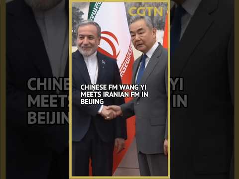 China's top diplomat holds talks with Iranian FM