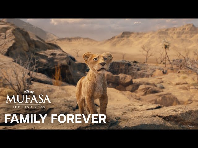 Celebrate the circle of life