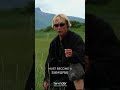 The Intense Battle For Survival In Grizzly Man Documentary