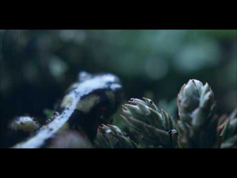 ‘Un agua así, solo la crea la naturaleza’, de Logosapiens para Solán de Cabras