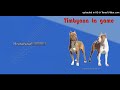 Timbyana Ta Game Chillas Audio