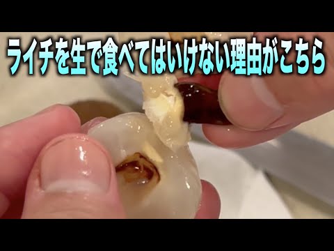 あなたの庭で鳥が何を食べるかを調べてください！種、果物、その他たくさんの驚きがあります!  庭園