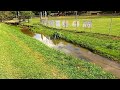 Fishing the Creek YOU Drive OVER (Tiny Creek)