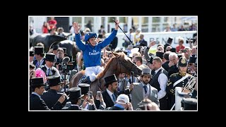 Masar: an absorbing pedigree and a crucial win for Godolphin breeding