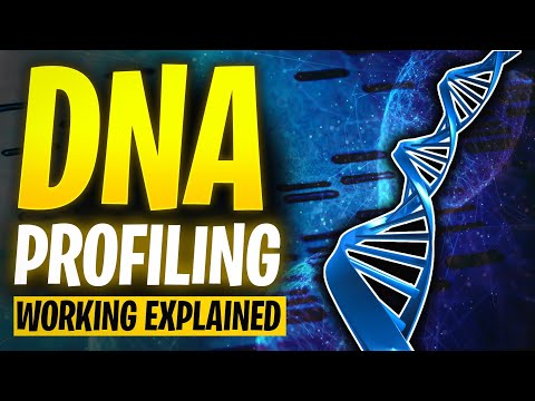 How DNA Profiling Works - The Modern Way of Testing