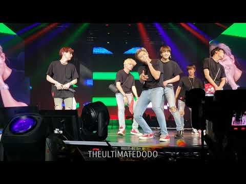 180909 Anpanman @ BTS 방탄소년단 Love Yourself Tour in LA Fancam 직캠