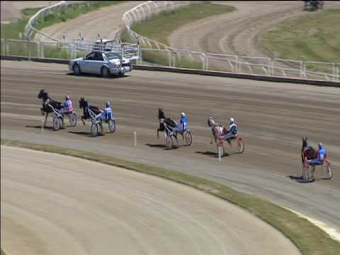 Trotto 01/05/2017 - 2ª corsa pony