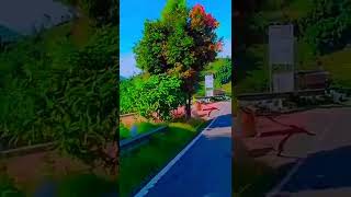 Download lagu LAGUNYA BIKIN CANDU/STATUS WA 30 DETIK KEREN -DIENG mp3