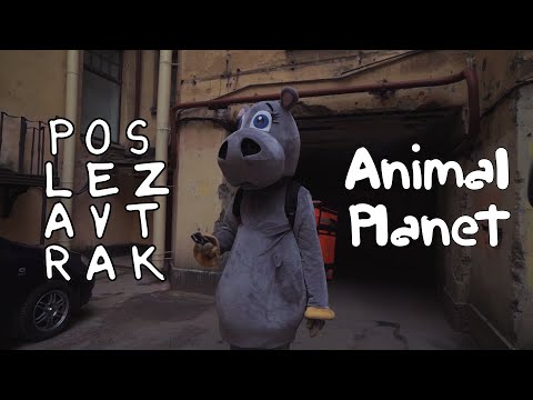 POSLEZAVTRAK - Animal Planet (Official Music Video)