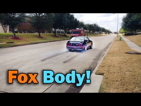 Shelby's New 1989 Ford Mustang GT Fox Body 5.0L