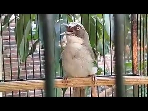 Paruh Novyj Trend Smotret Onlajn Na Sajte Trendovi Ru