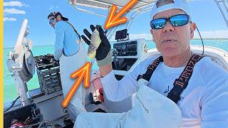 Stone Crab Season OPENS! Commercial Crabbing with Capt. Louis Cave