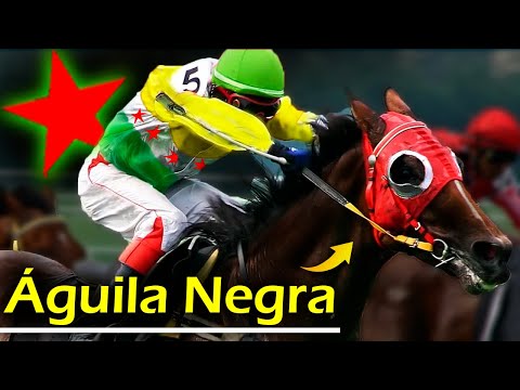 ÁGUILA NEGRA 🔥 3 Victorias que lo llevaron a lo mas alto del Hipismo (La última es increíble)