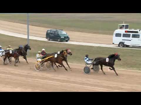 2018.03.24 3. futam Kincsem Park