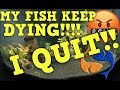 My Fish Keep Dying But I'm Doing Everything Right, What's Going On Here? Tank Talk Live!!