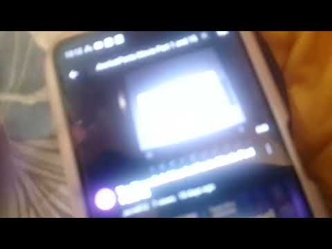 The TimonBob MeerkatPants Movie Part 1 and 15