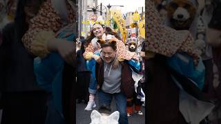 Rental Family (2025) Video