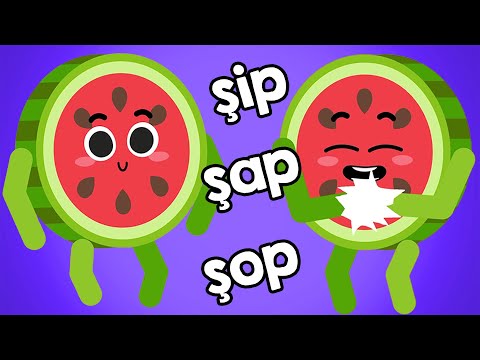 Karpuz Adam ŞİP ŞAP ŞOP