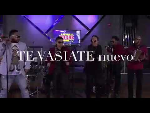 El shino aguakate en vivo