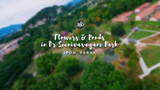 (4K) Flowers & Ponds in Dr Seenivasagam Park, Ipoh | FPV