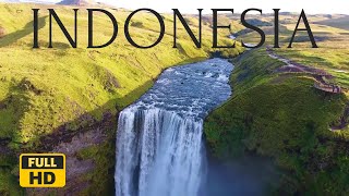 Indonesia | Beach | Mountains | Bali | Fields | No Copyright footage