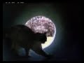 Homeward Bound II Lost In San Francisco Clip 1