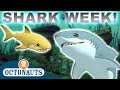 ​ Octonauts Awesome Sharks 70 Mins Shark Week Special Underwater Sea Education