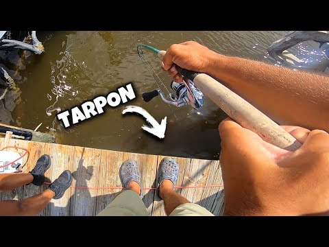 Fishing Docks for Tarpon on YouTube
