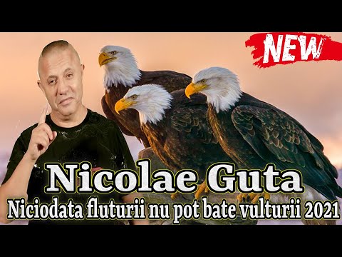 Nicolae Guta ❌ Niciodata Fluturii nu pot bate Vulturii 2021 █▬█ █ ▀█▀ ★★★★★ MANELE NOI 2021