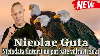 Download lagu Nicolae Guta ❌ Niciodata Fluturii nu pot bate Vulturii 2021 █▬█ █ ▀█▀ ★★★★★ MANELE NOI 2021 mp3