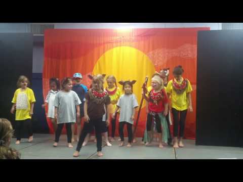 Tera Lion King 081216A