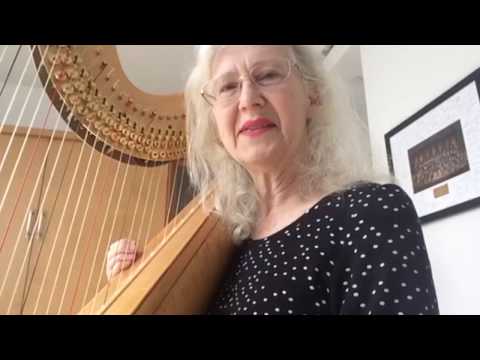 The Harp Hub - avoiding buzzes and bumps - Elizabeth Volpe Bligh