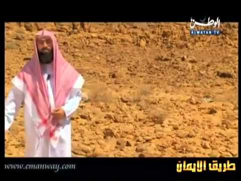 قصص الأنبياء _ نبي الله موسى عليه السلام و البقرة 