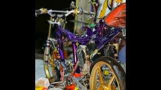 Download lagu STORY'WA TIGER REVO TERBARU //LITERASI HEREX mp3