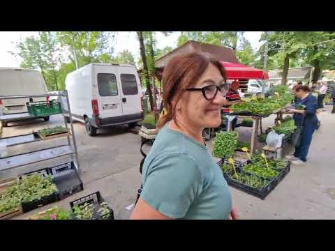 Srijedom u Otočcu 24.05.2023.