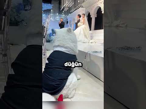 Kız Köpeğini De Yanında Götürdü 🐶❤️🐾
