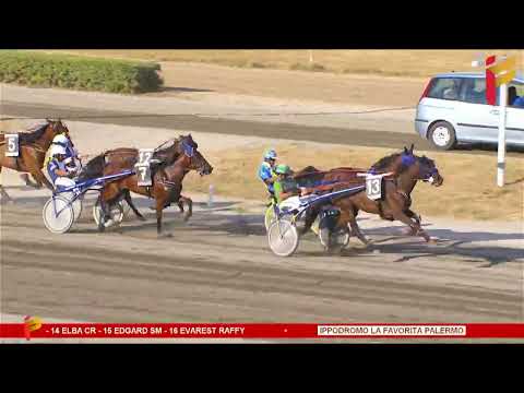 V Corsa del 9 Settembre 2023 - 3 Anni - Metri 1600