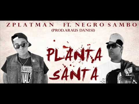 ZPLATMAN FEAT NEGROSAMBO - PLANTA SANTA (ARAUS DANESI BEATS)
