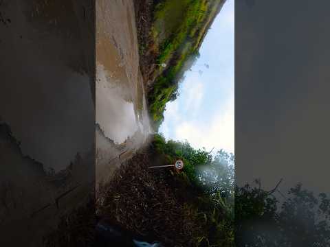 Trocha Nacional 65 Puerto Rico - San Vicente #viajandoenmoto #caquetacolombia #rutasypaisajes
