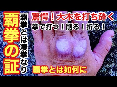 【覇拳鍛錬の証】覇拳はこうして作られた‼️拳を打つ！拳を研ぐ！拳を磨く！山中での凄まじき拳鍛錬を公開『鍛行家 伊与田の拳』