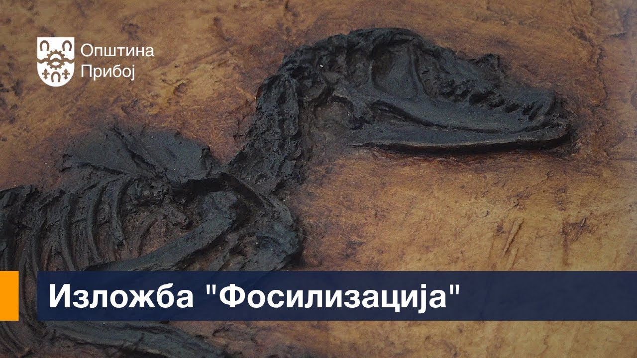 Отворена изложба "Фосилизација"