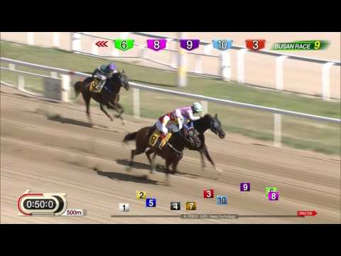 170806 Busan R9 1200m