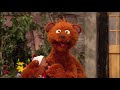 Sesame Street Episode 4267 First Scenes