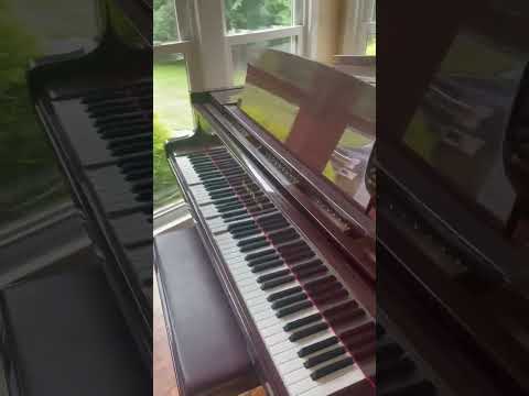 Widi Jack midi receiver connected directly to PianoDisc midi in on cpu. Digital side of pianostream