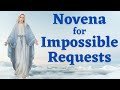 Novena For Impossible Requests For 3 Intentions For Mary S Intercession