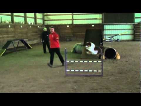 2012-01-28 ASCA E-G-1.MPG