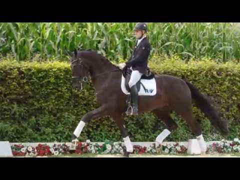 02 Django Unchained  Wallach v. DonJuan de Hus - De Niro