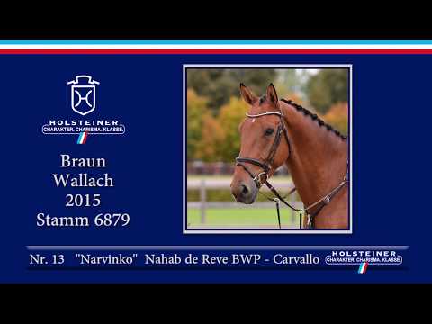 1. Holsteiner Winter-Chance | Nr. 13 Narvinko