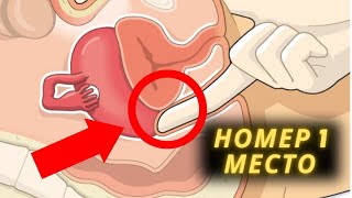 10 лучших мест, где можно прикоснуться к женщине (знают 2% мужчин) | ПСИХОЛОГИЯ | СТОИЦИЗМ